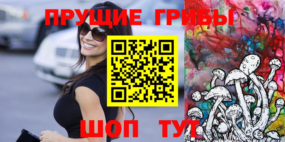 Псилоцибиновые грибы GOLDEN TEACHER Воронеж